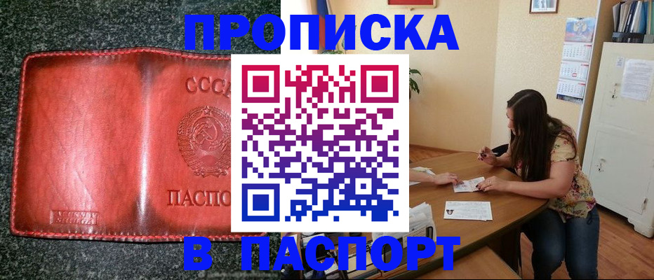 прописка поиск в Саранске